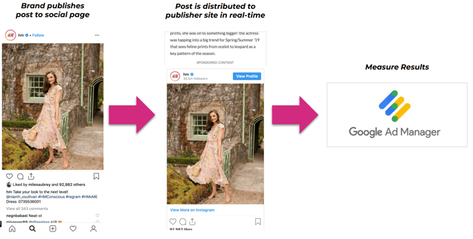 Screenshot 2025-08-27 at 15.47.44-1